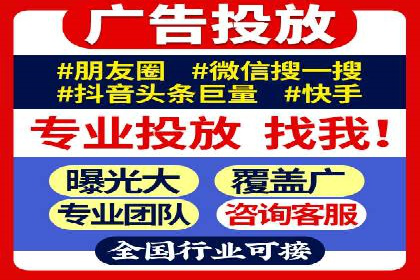 大型企业SEM外包实战案例